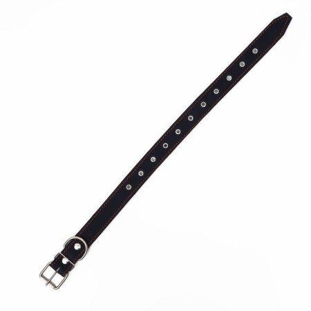 Leather collar on synthetic winterizer, dimensionless, 71 x 3.5 cm, Osh 29-62 cm, blue-2