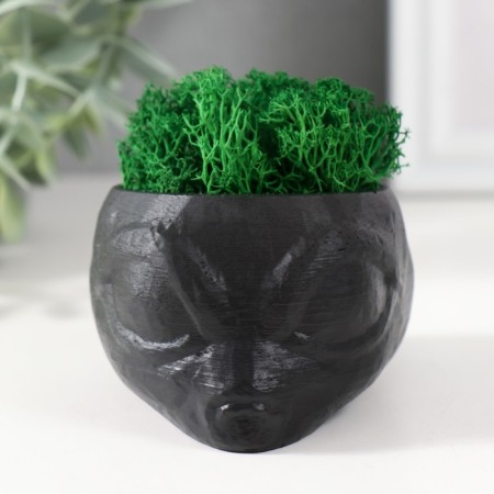 Kashpo concrete "alien" height 5 cm, d-6 cm black with moss (moss green. Stabilizir)