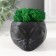 Kashpo concrete "alien" height 5 cm, d-6 cm black with moss (moss green. Stabilizir)