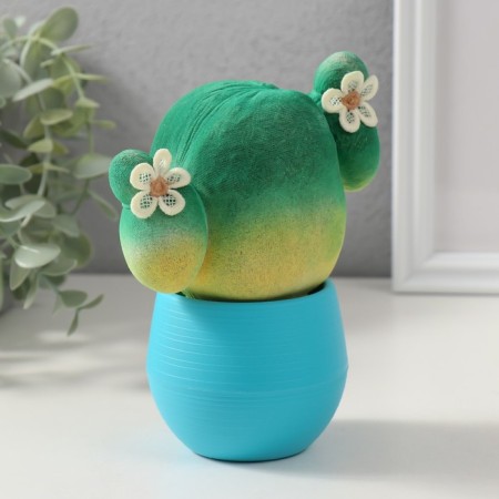 Growing gift Eco -Zhizhivchik "Cactus in a pot" Blue-1