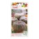 Seeds of pumpkin "Winter Sweet", 2 g