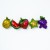 Fruit paradise