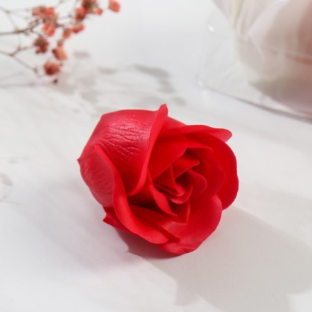 Lapal petals "Red and white roses" set 9 pcs 4.5x12.6x12.6 cm-2