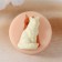 Mold Silicon "Wolf Care" 3.5x2x1.1 cm