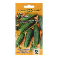 Cucumber seeds 