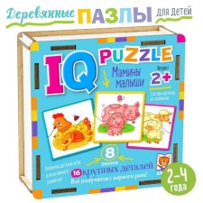 Wooden IQ puzzle 