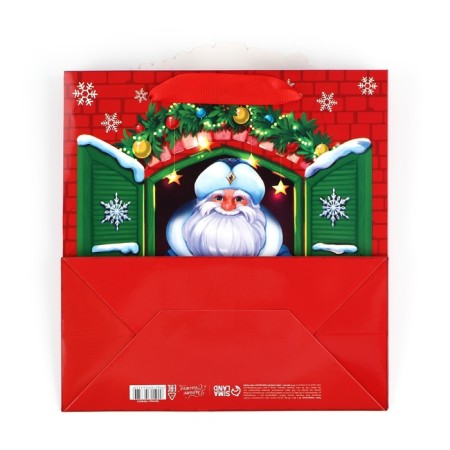 Gift Package "Grandfather Frost", 22 x 22 x 10 cm, New Year-9
