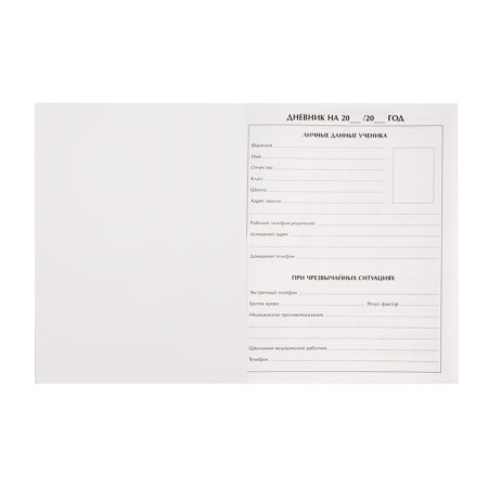 Diary for grades 1-4, "Cosmos", solid cover 7BC, matte lamination, foil embossing, 48 sheets-3