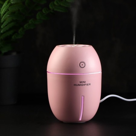 Air humidifier Luazon LHU-09, ultrasound, 180 ml, 2 W, portable, USB, mix