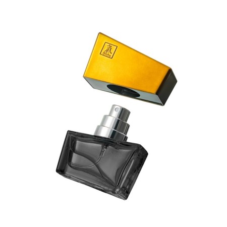 Perfumes with pheromones Hot Shiatsu Gray, male, 15 ml-3