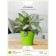 Plastic pot "Tuscan", d = 15, with a pallet, lime
