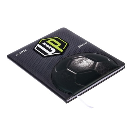 Universal diary for grade 1-11 Sport, hard cover, artificial leather, liesse, 80 g/m2-1