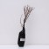Spirea Van-Tutta (Northern Garden series), 1 pc, tube, spring 2025
