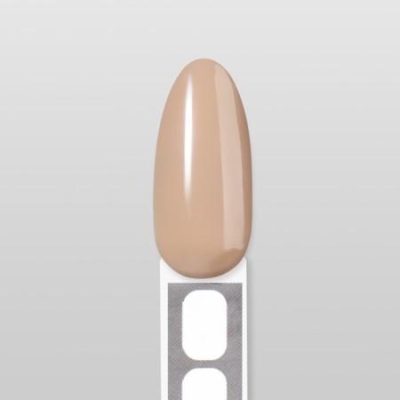 Nail polish gel, set 5 pcs, 10 ml, basic shades-3