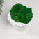 Concrete Kashpo "David" with moss white 11.5x15.5x12 cm (moss green stabilized)