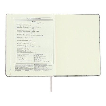 Diary 1-11 grade "Gray marble", artificial leather, a solid cover with embossing, with liesa, 48 sheets-12