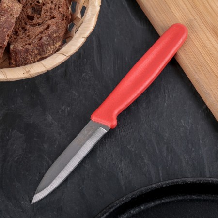 Knife "Economy", small, blade 8 cm, color mix