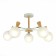 Ceiling EVOLUCE lamp. Sle220702-05. Catania. 5x40 watts, E14, 59x59x33.5 cm, white color, light tree