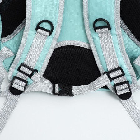 A backpack for carrying animals with a viewing window, green-13
