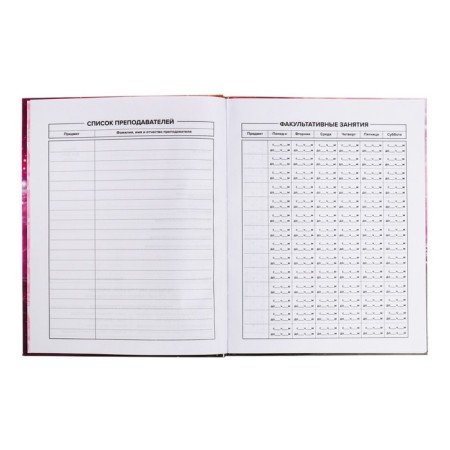 School diary for grades 1-11 Infinity, covered cardboard, glossy lamination, foil embossing, universal cheat sheet, 48 sheets, block 65g/m2-5