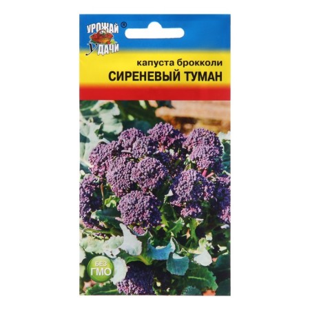 Seeds of cabbage Brock. "Purple Haze",