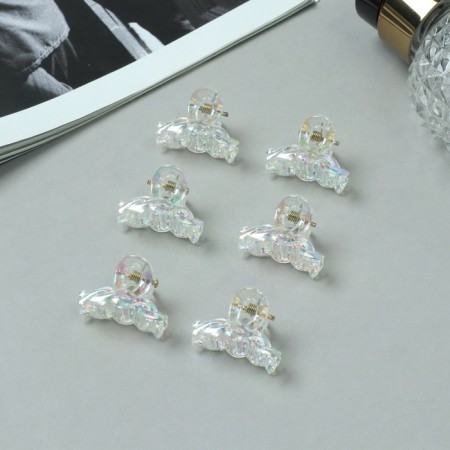 Hair crab "Avanti" (set of 6 pcs) loops, 2.5 cm, transparent-1