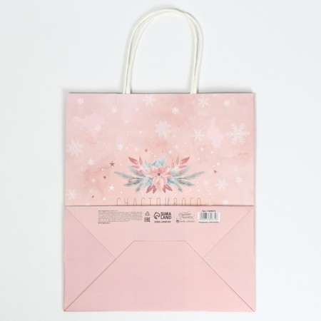Package gift craft "New Year's time", 22 x 25 x 12 cm, new year-6