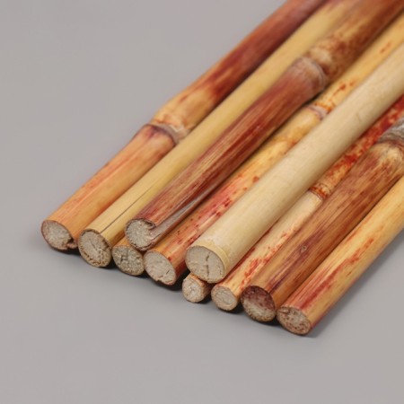 Bamboo stalks are decorative, 10 pcs, length 20 cm-2