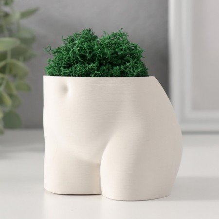Interior subject "innocent view" height 6.5 cm, width 8.5 cm white (moss green. Stabiliz)-3