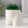 Interior subject "innocent view" height 6.5 cm, width 8.5 cm white (moss green. Stabiliz)