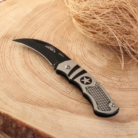 Folding knife "Alexander" 14.8 cm, blade 62mm/2mm, metal hilt-1