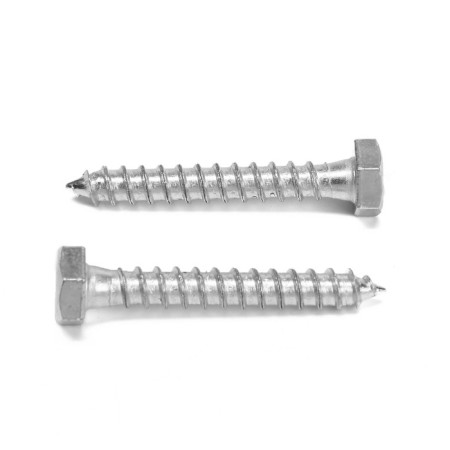 Tundra bolt, capercaillie, plumbing, Din571, M6x40 mm, 4.8 - 5 kg-1