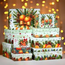A set of boxes 10 in 1 