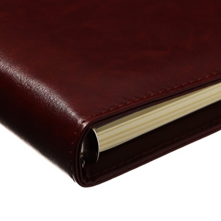 Organizer on the rings of "Classic" A5, 96 sheets in a line with a strap, mix-3