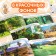 100 stickers "Animals from all over the world", 12 p.