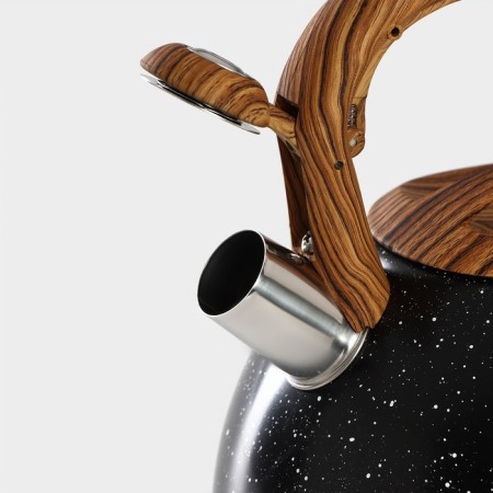 A kettle with a stainless steel whistle Magistro Stone, 2.7 L, Soft-Touch handle, induction, black color-3