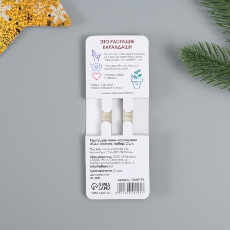 Growing gift pencils mini "blue spruce + pine" set 2 pcs.-2