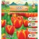 Tulipa AD Rem, river 11/12, 5pcs, autumn 2024