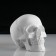 Anatomical gypsum figure: anatomical skull, 14.5 x 22 x 16.5 cm