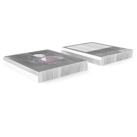 Subject notebook, 48 sheets, ruler, literature Erichkrause "Persons", Plastic Cover Silkography, Bloc Offset Beliac 100%, Info-block-7