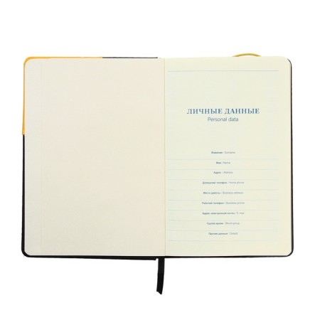 Low -diary, PVC cover, A5 format, 140 sheets in a cage, elastic band, "Neon", mix-4