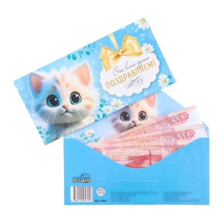 The envelope for the money "Congratulations with all my heart!" kitten, blue background, 8 x 17 cm