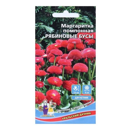 Flower seeds Margarita "Rowan beads", 0.03 g