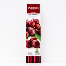 Gooseberry 