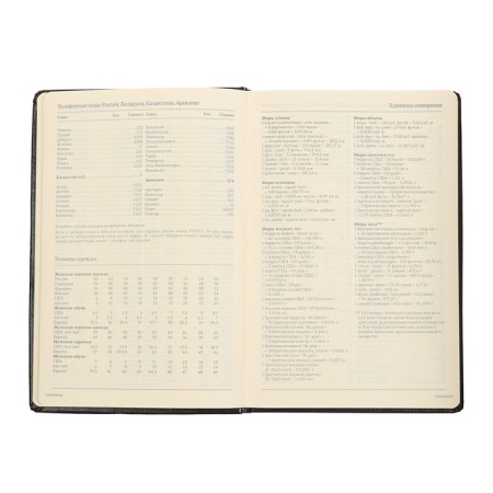 Deliciper of Leduced A5, 160 sheets Megapolis, hard cover, artificial leather, black-7