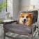 Decorative Ethel Pillow "Corgi" 40x40 cm, Gabardin, 100% p/e