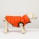 Dog jacket two -sided with a collar, ds 24, Osh 24, og 40, orange/green
