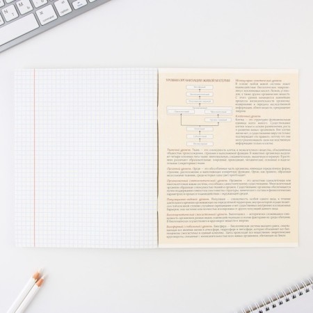 An objective notebook 48 sheets, A5, Cat, with reference materials “September 1: Biology”, cover coated cardboard 230 gr., Inner block in a cage 80 gr., Beliac 96%, block No. 1.-3
