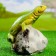Garden figure "Lizard on Stone", 16x16 cm,