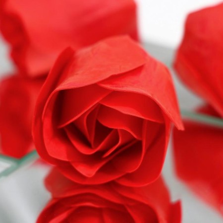 Soap roses, red, set of 9 pcs.-2